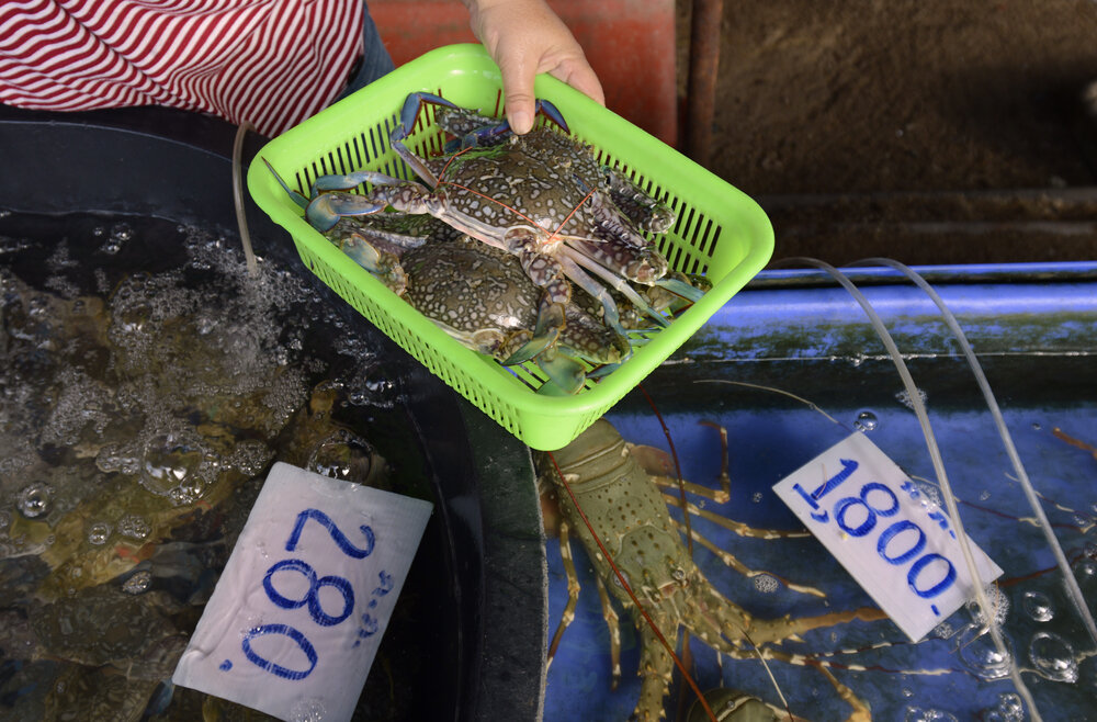 A fresh seafood market in Phuket