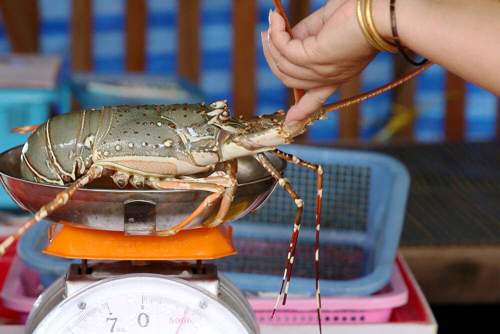 Seafood such as lobsters are sold at Rawai fish market